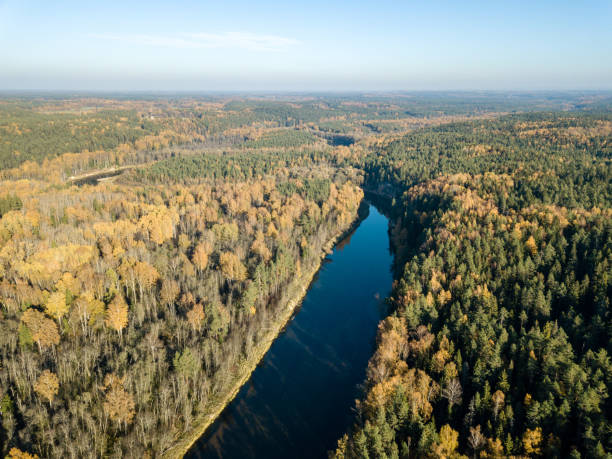 istock drone image. aerial view of wavy river in autumn colored forest 1058523354