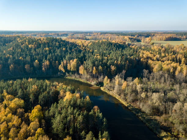 istock drone image. aerial view of wavy river in autumn colored forest 1058523444