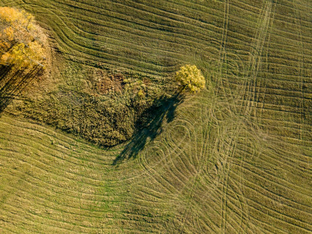 istock drone image. aerial view of rural area with fields and forests in autum 1058523668