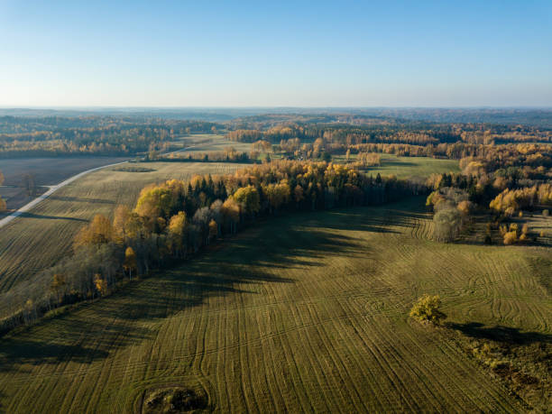 istock drone image. aerial view of rural area with fields and forests in autum 1058523802