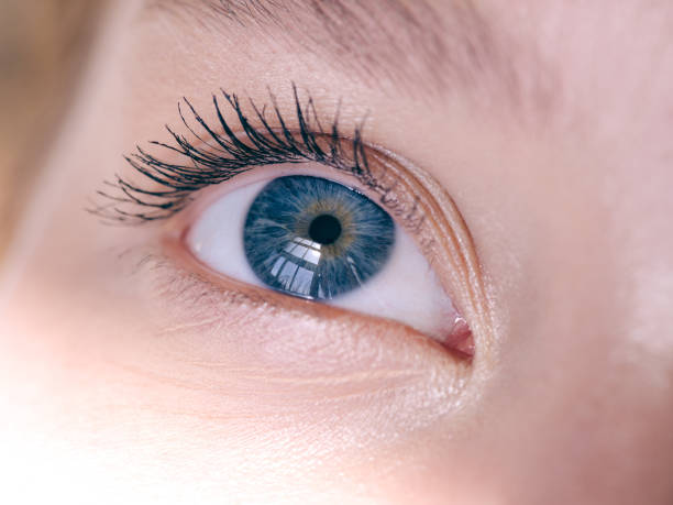 istock Woman eye. Closeup view. 1058524080