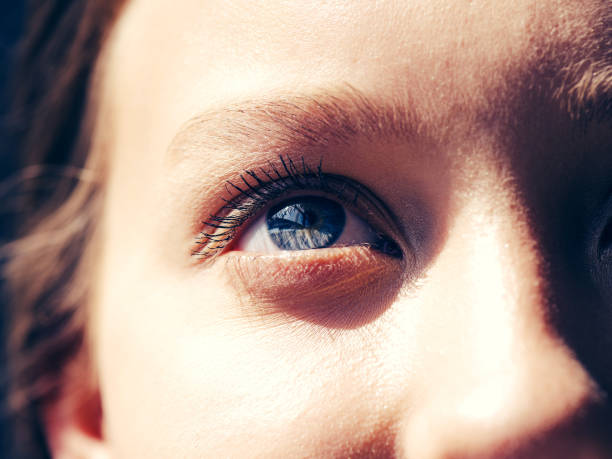 istock Woman eye. Closeup view. 1058525356
