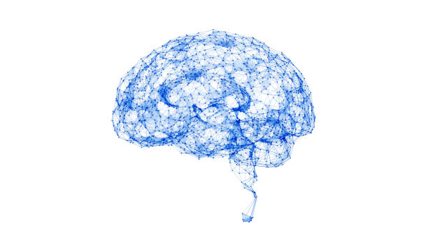 Triangle Shapes And Dots Forming A Plexus Brain Object On White Background - Innovation Concept