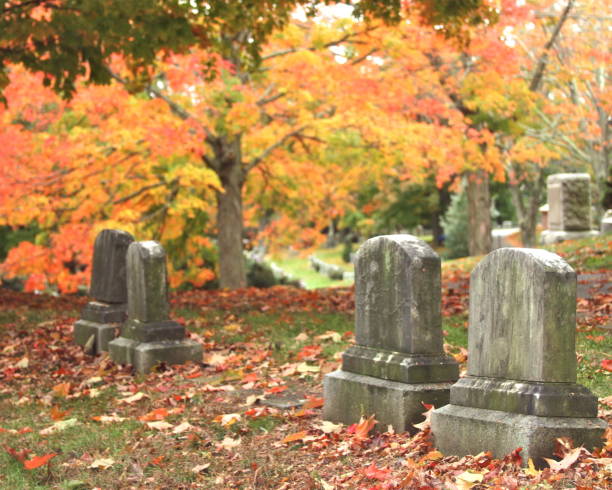 istock Grave stones and autumn leaves 1058526268