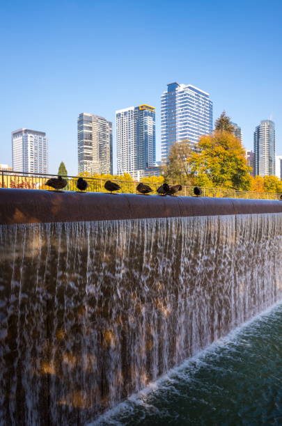 Bellevue Downtown Park in Washington-USA