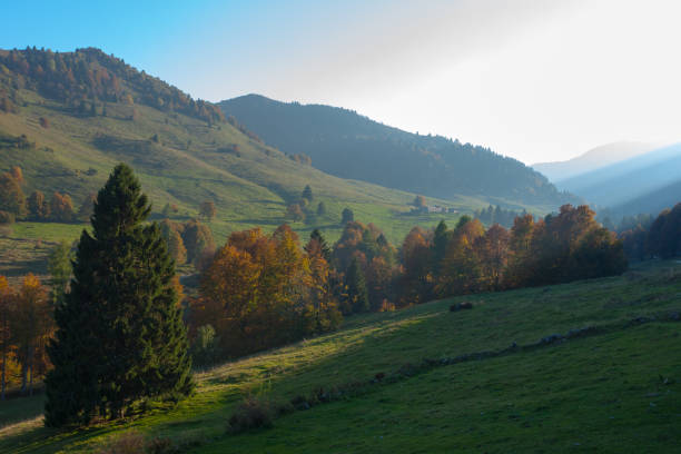 istock Trees in autumn season background. Autumn lansdscape 1058537786