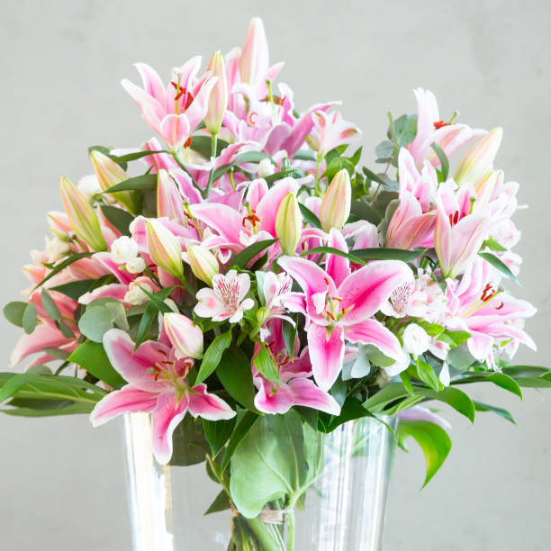 bouquet of lilies flowers on a gray background stock photo