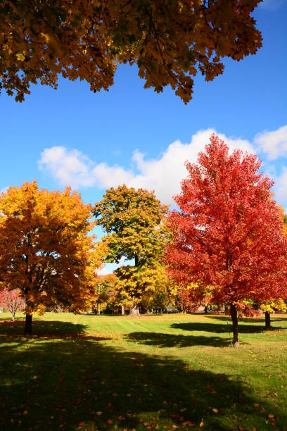 istock Autumn Michigan Colors 1058538112