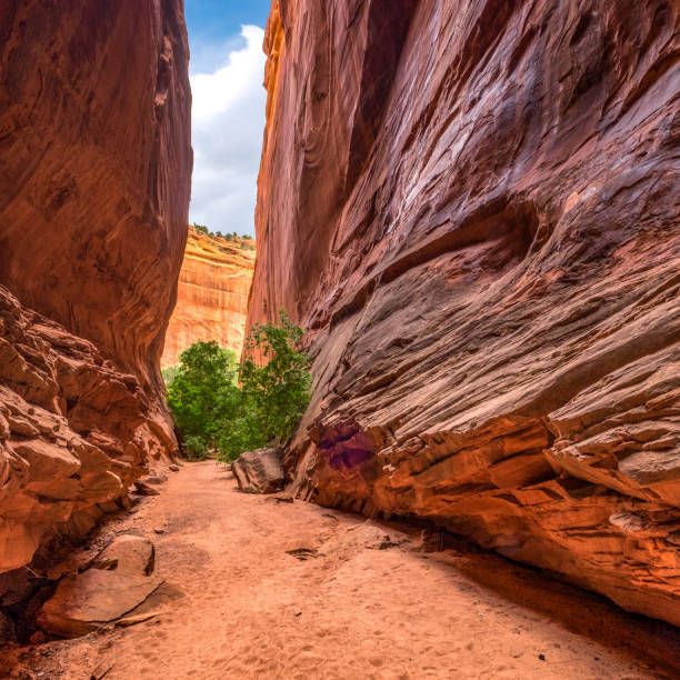istock Burr Trail Slot Canyon 1058538368