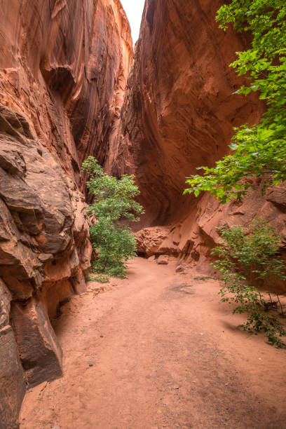 istock Burr Trail Slot Canyon 1058538374