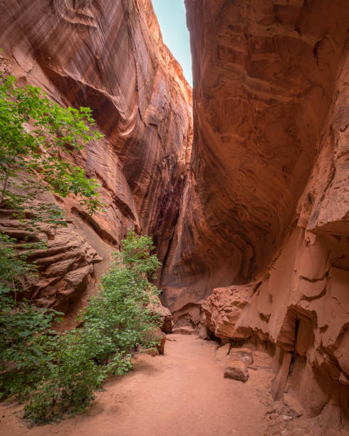 istock Burr Trail Slot Canyon 1058538378