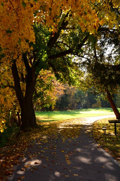 istock Autumn Michigan Colors 1058538446