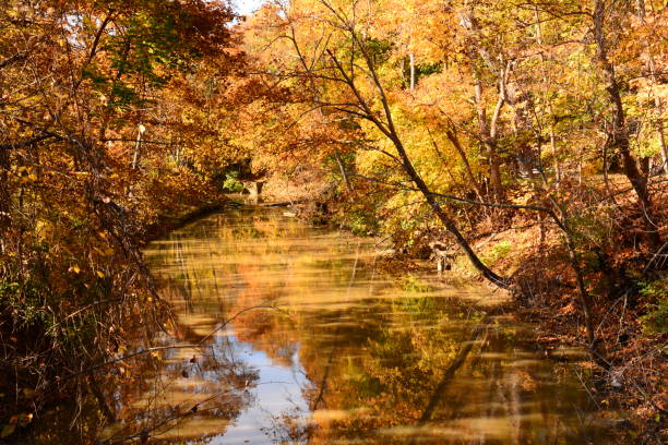 istock Autumn Michigan Colors 1058538568