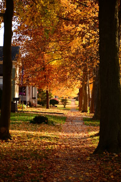 istock Autumn Michigan Colors 1058539908