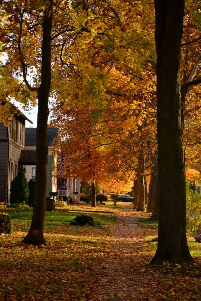 istock Autumn Michigan Colors 1058539914