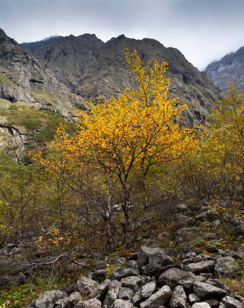 istock Autumn in the mountains 1058540030