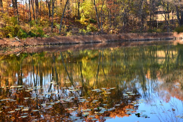 istock Autumn Michigan Colors 1058540694