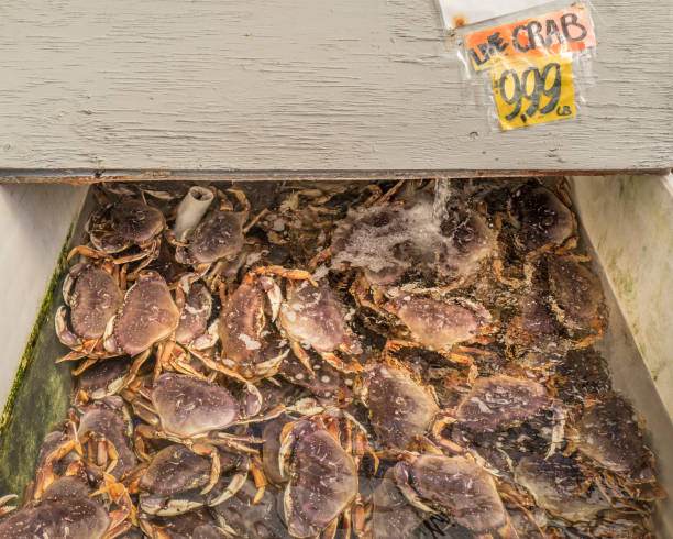 istock Catch of the day 1058540850