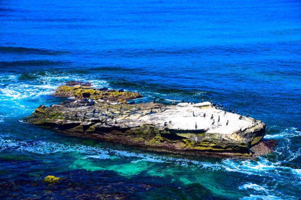 istock Rock formations at La Jolla Cove in La Jolla, California 1058549504