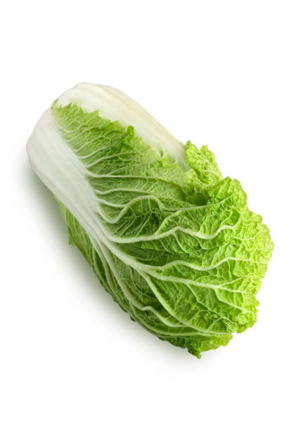 istock Peking cabbage on a white background. Fresh Peking cabbage close up isolated on white background. 1058551704