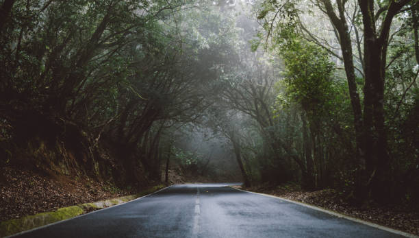 istock Road inside tunnel of trees. 1058553924