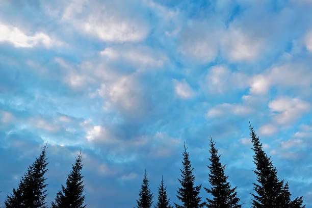 istock The sky with light white clouds illuminated by the setting sun 1058556810