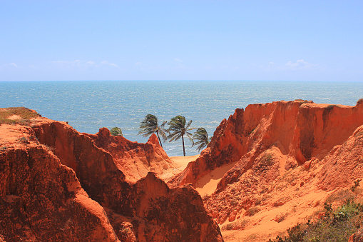 Rojos acantilados, cocoteros y el mar en la playa de Morro Branco, Ceará photo
