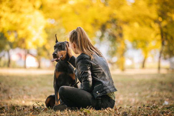 istock Woman relaxing with doberman 1058570910