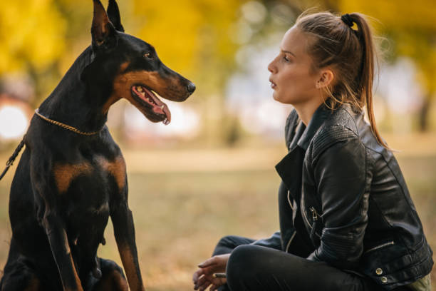 istock Girl relaxing with doberman in nature 1058570932