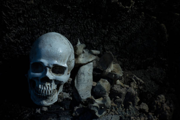 istock Skull and bones digged from pit in the scary graveyard which has dim light 1058575030