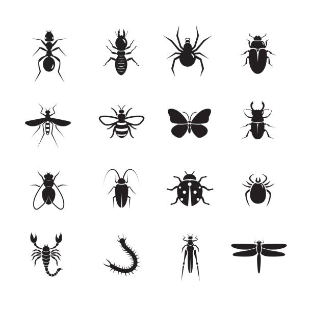 ilustraciones, imágenes clip art, dibujos animados e iconos de stock de icono de insectos - mosca insecto ilustraciones