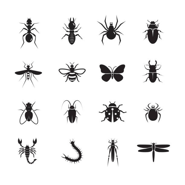 значок насекомых - pest stock illustrations