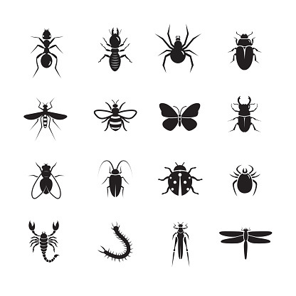 Insect icon, set of 16 editable filled, Simple clearly defined shapes in one color.