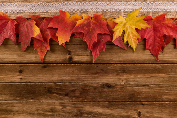 istock Fall and autumn maple leaves decoration on a wooden table 1058581064