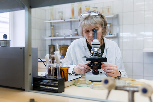 The 50-years-old attractive seriose woman, scientist, working with the microscope and bacterial culture in the college microbiology laboratory. Kaliningrad, Russia.