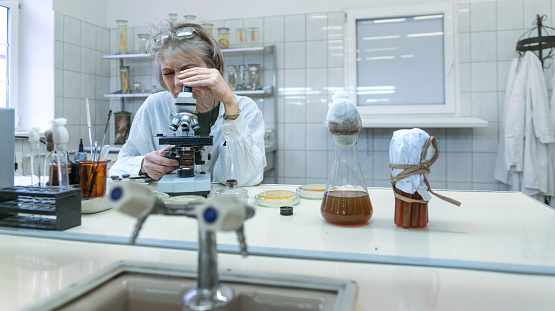 The 50-years-old attractive seriose woman, scientist, working with the microscope and bacterial culture in the college microbiology laboratory. Kaliningrad, Russia.
