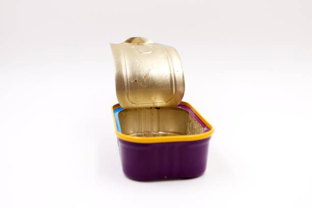 istock Empty sardines in brine can 1058583980