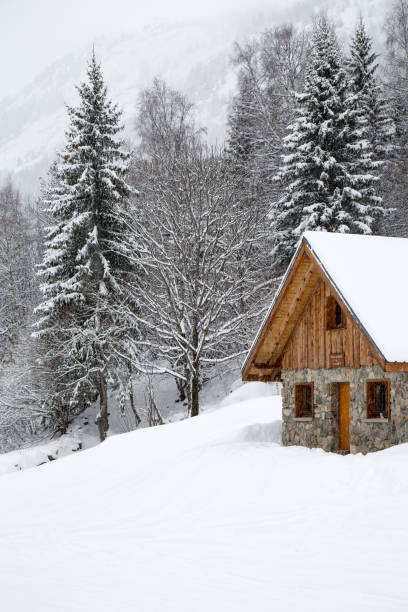 istock Chalet in winter 1058583988