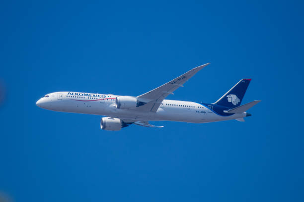 아에로멕시코 보잉 dreamliner b787 비행기 jfk 공항에 접근 - boeing 787 air vehicle travel business travel 뉴스 사진 이미지