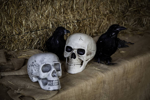 istock Scary halloween skulls 1058586518