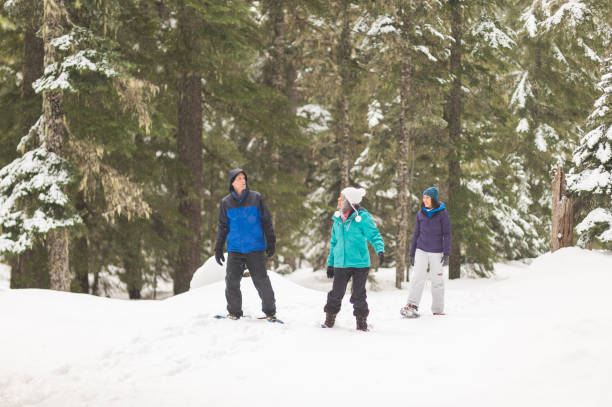 istock Snowshoeing in the forest 1058586806
