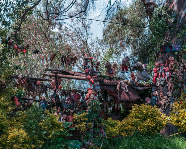 mysterious day of the dead Mexico city, August, 28, 2018: Famous and unique island full of tetric dolls in Xochimilco. behavior teddy bear doll old stock pictures, royalty-free photos & images