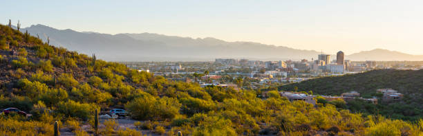 skyline de tucson - mt lemmon - fotografias e filmes do acervo