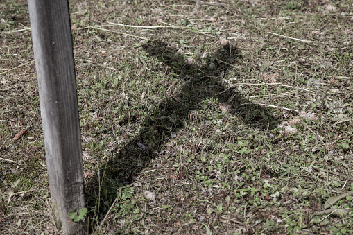 Image of a shadow created by a wooden cross on the grass in a graveyard