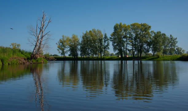 istock Summer windless day on the Ob river 1058604688