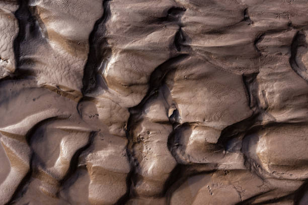 margem do rio glacial com barro molhado preto silte areia - silt sand textured black sand - fotografias e filmes do acervo