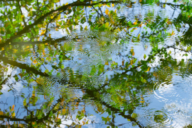 istock Autumn trees and ruts reflected on the surface of the water 1058611754