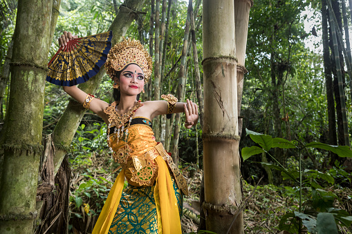 In a natural bamboo forest environment, a young teenage Balinese girl wearing a traditional Legong costume and holding a hand fan gracefully poses and dances in front of the camera. The Hindu culture is still well preserved and children learn at a very young age the art of Ramayana and dance.