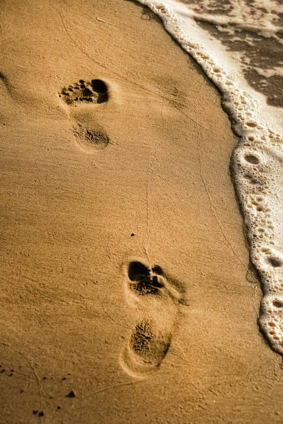 istock close up footprints on golden color sandy beach 1058614318
