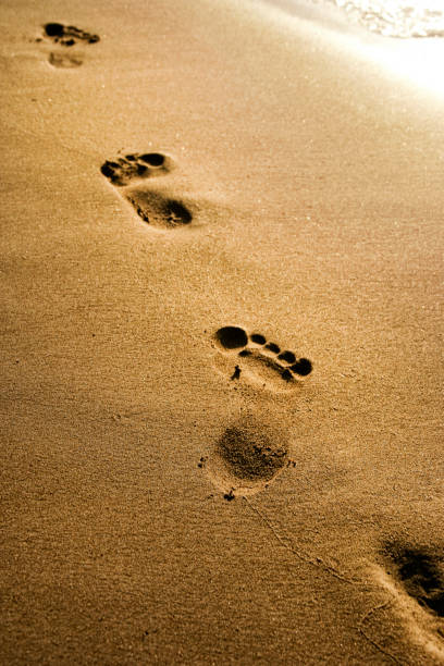 istock close up footprints on golden color sandy beach 1058614454